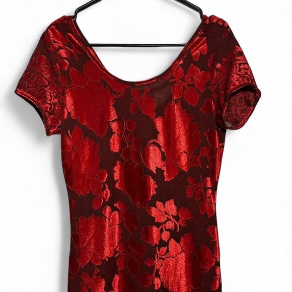 C. W. Rose Vintage Velvet Floral Maxi Dress - Picture 3 of 6